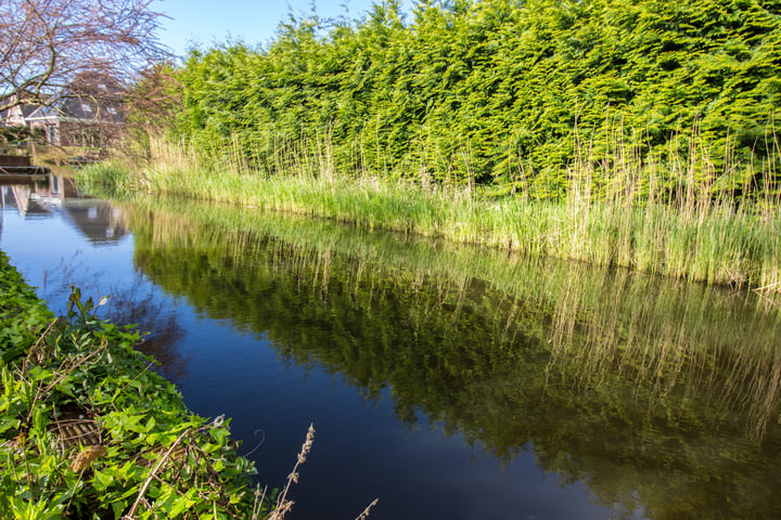 Bekijk foto 72 van Dijkweg 130