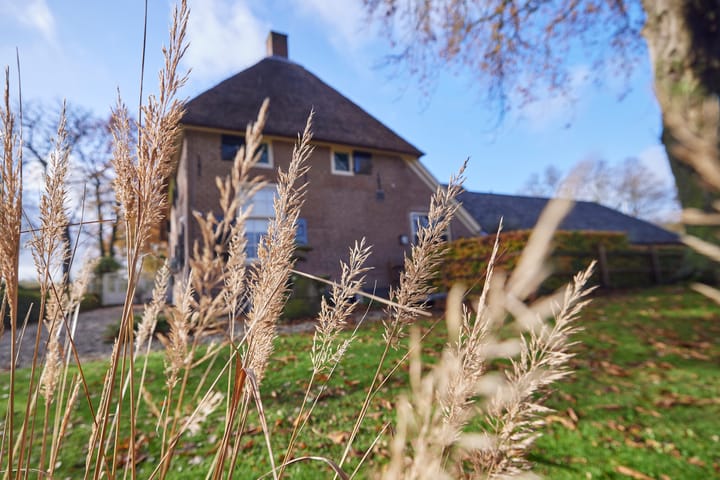 Foto 38 van Wehmestraat 1