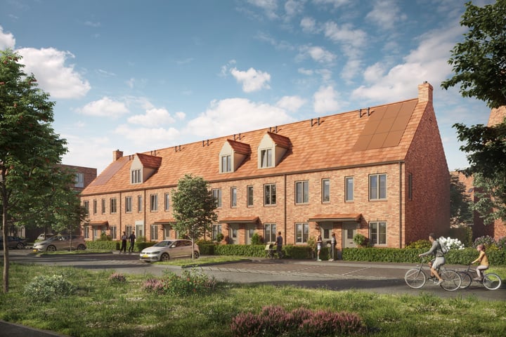 Mahoniehout 54