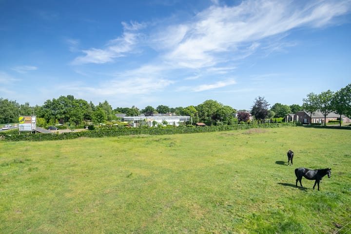 Foto 10 van Groenendaal