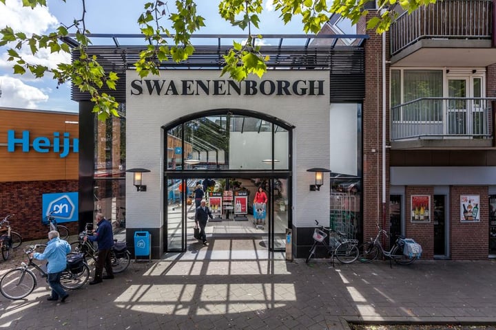 de Swaenenborgh 18, Meppel