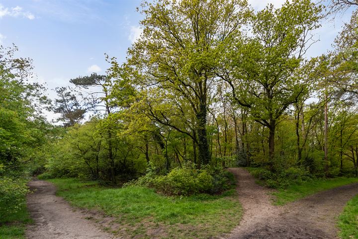 Bekijk foto 32 van Aagje Dekenlaan 211