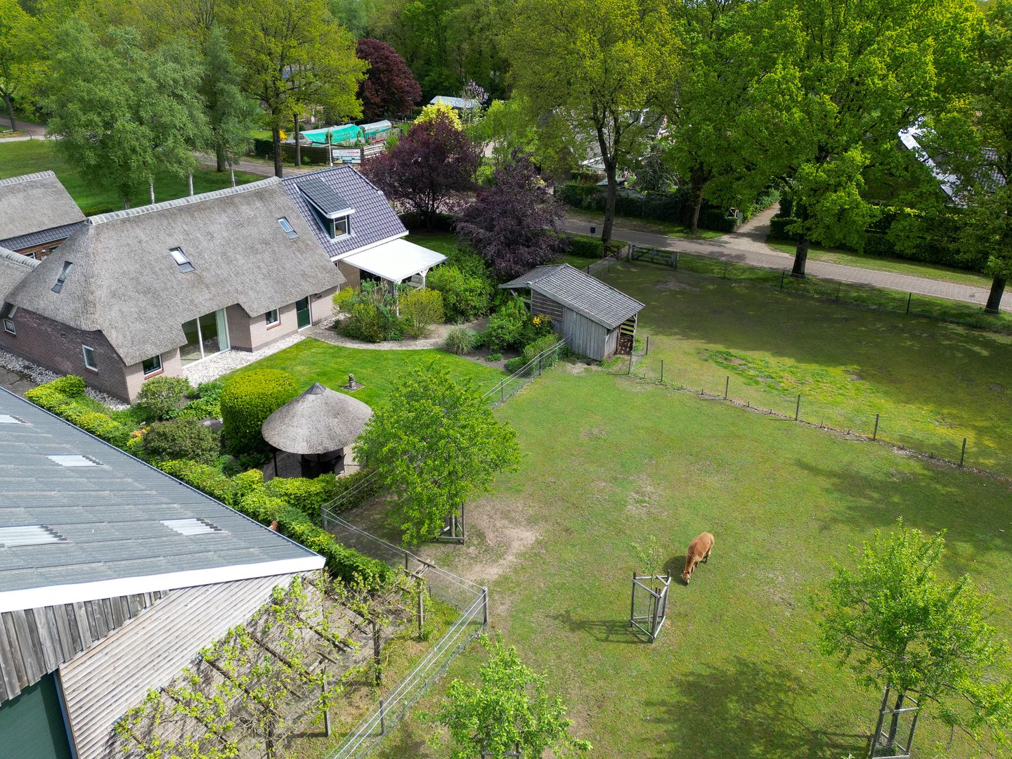 Foto 49 van Middendorpsstraat 14