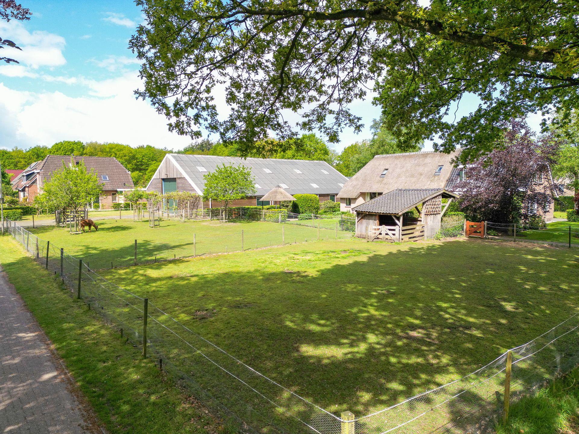 Foto 48 van Middendorpsstraat 14