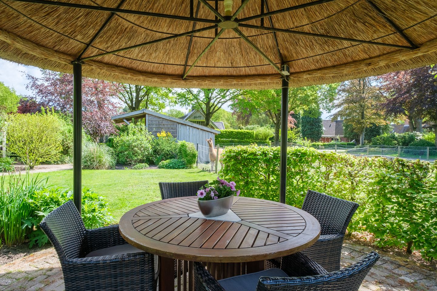 Foto 64 van Middendorpsstraat 14