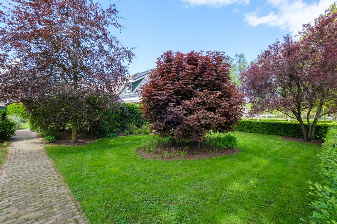 Foto 62 van Middendorpsstraat 14