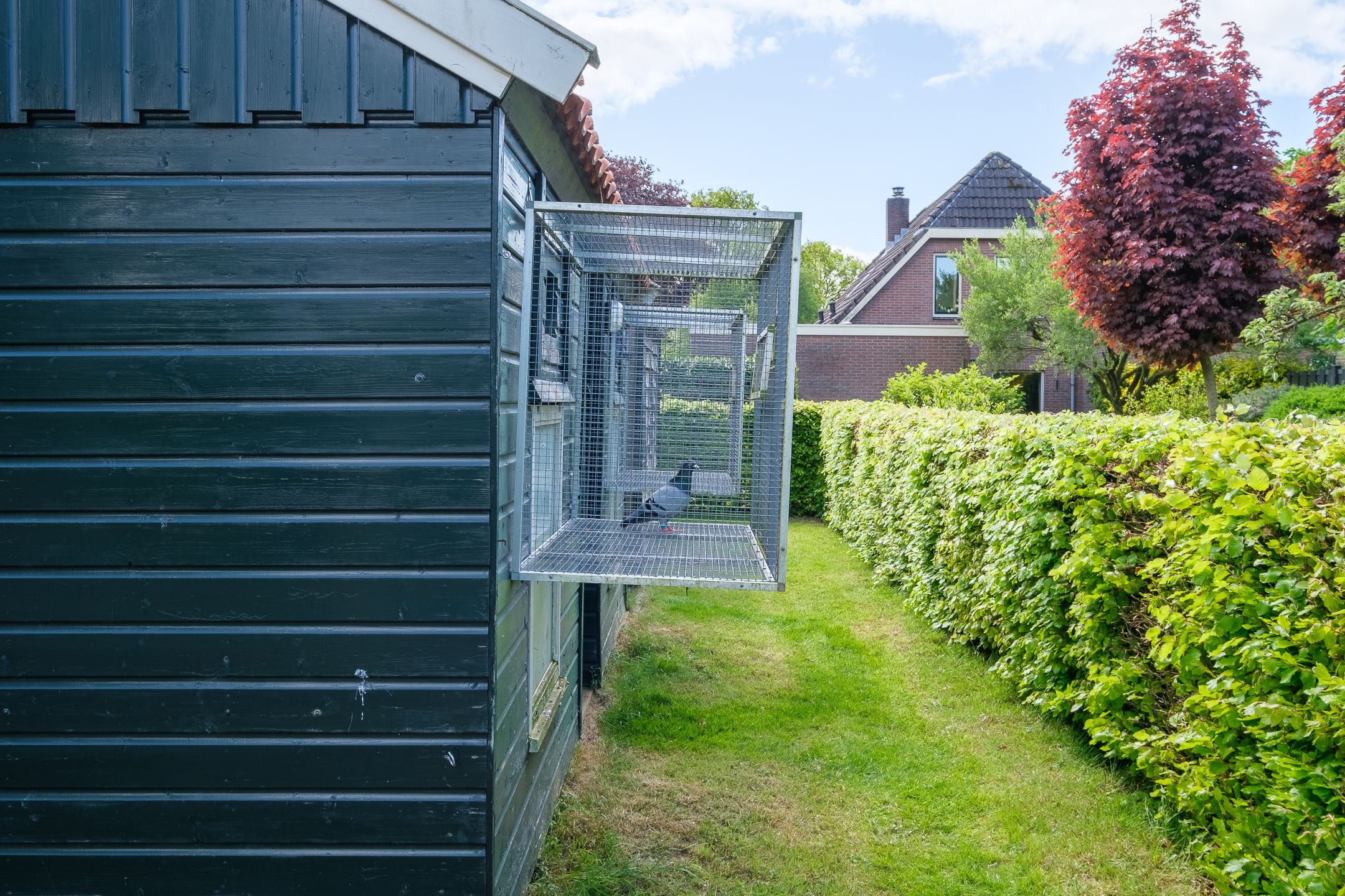 Foto 72 van Middendorpsstraat 14