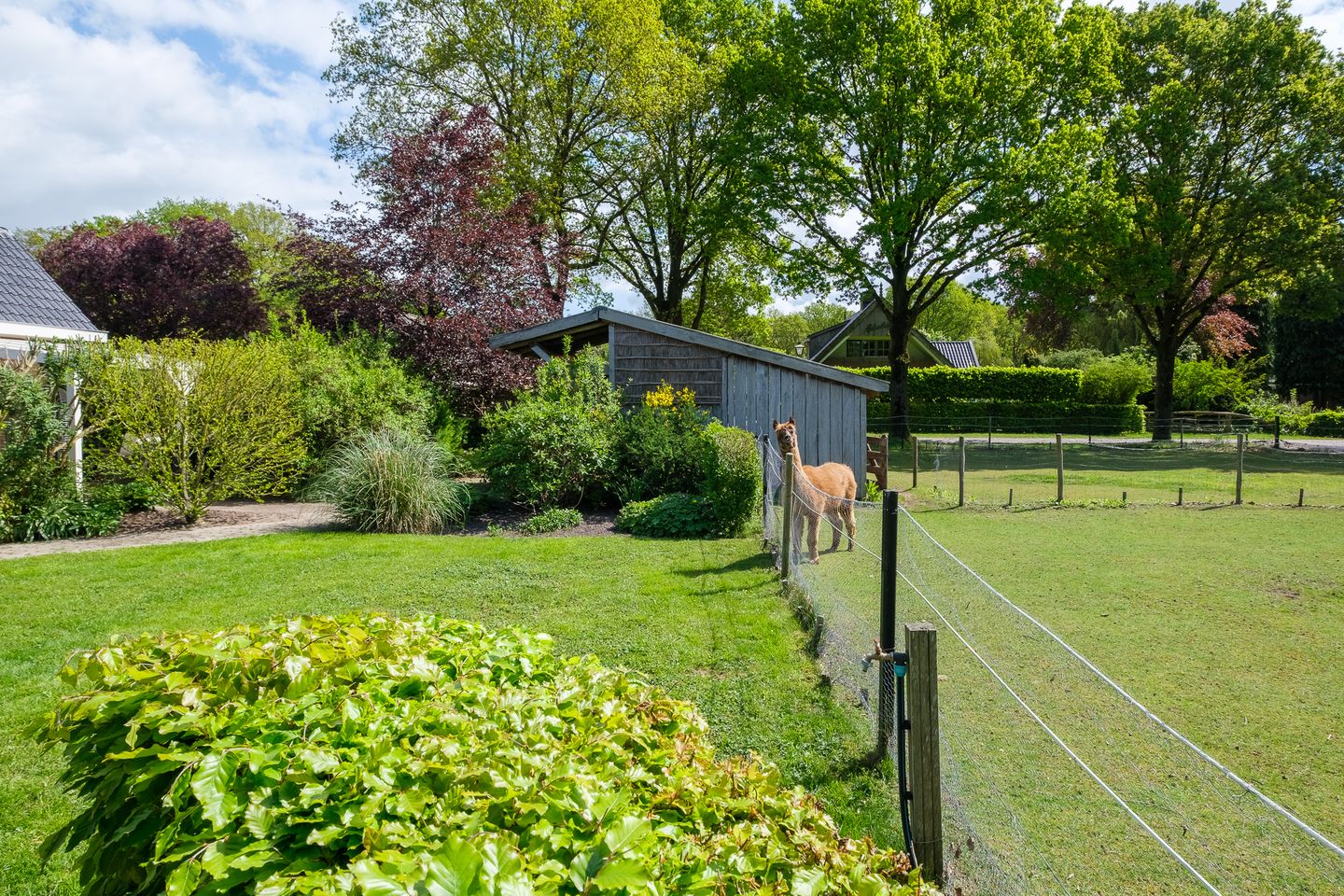 Foto 65 van Middendorpsstraat 14