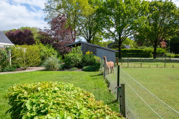 Foto 65 van Middendorpsstraat 14