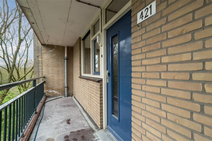 Bekijk foto 5 van Van Oldenbarneveltstraat 421