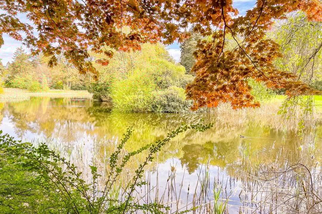 Foto 8 van Stationsweg 213