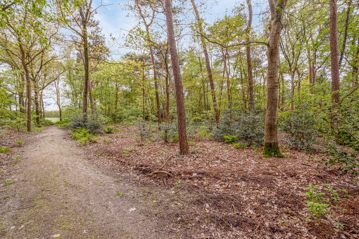 Bekijk foto 34 van Stroeërweg 66