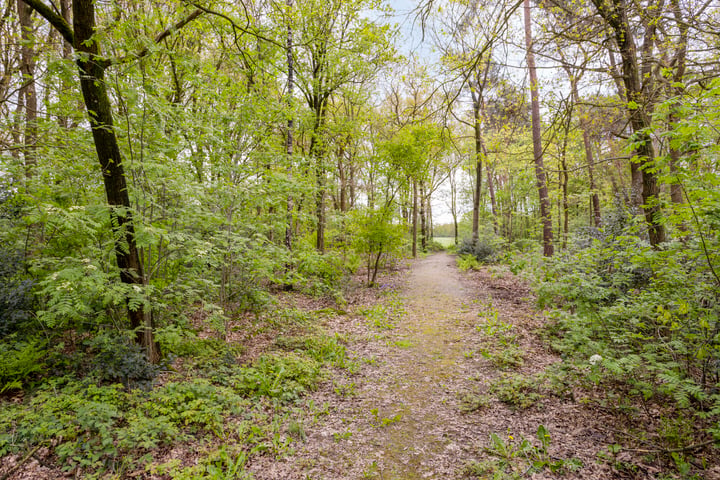 Bekijk foto 33 van Stroeërweg 66