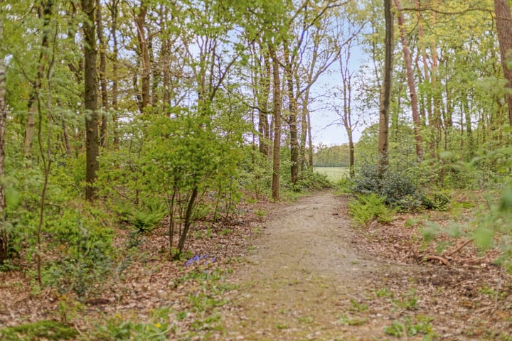 Bekijk foto 43 van Stroeërweg 66