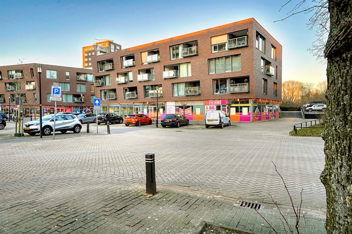 Van Diepeningenlaan 10-12, Leiderdorp