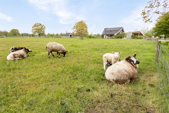 Bekijk foto 74 van Halseweg 3-A