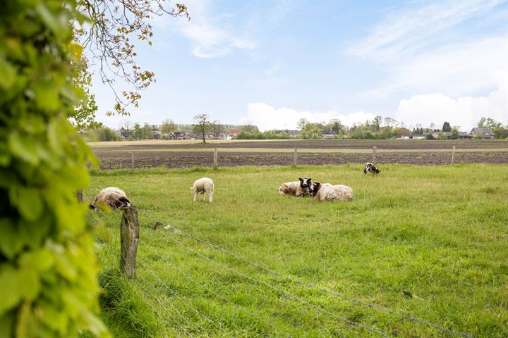 Bekijk foto 75 van Halseweg 3-A