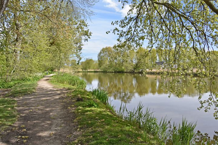 Bekijk foto 45 van Gele Lis 191