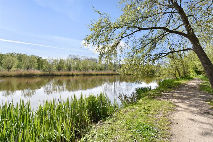 Bekijk foto 46 van Gele Lis 191