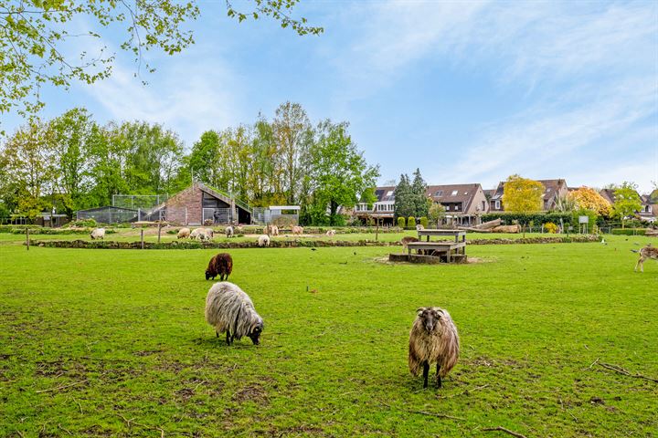 Bekijk foto 38 van Agnetendal 4