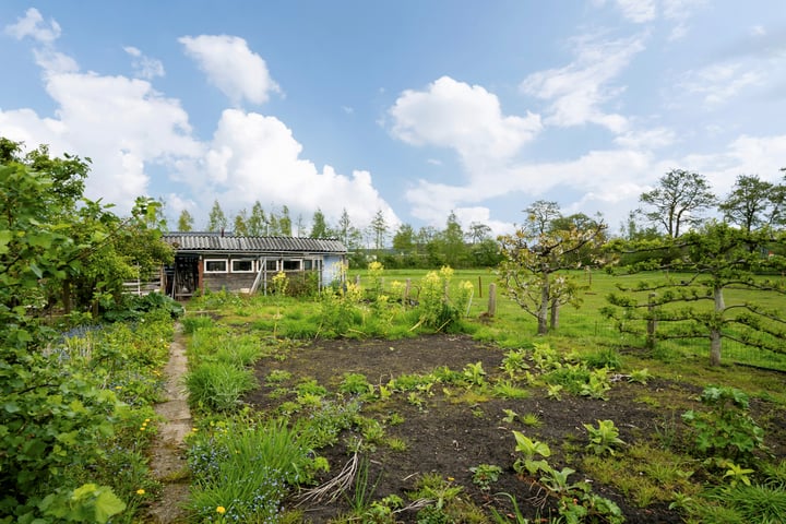 Bekijk foto 45 van Noorderweg 3