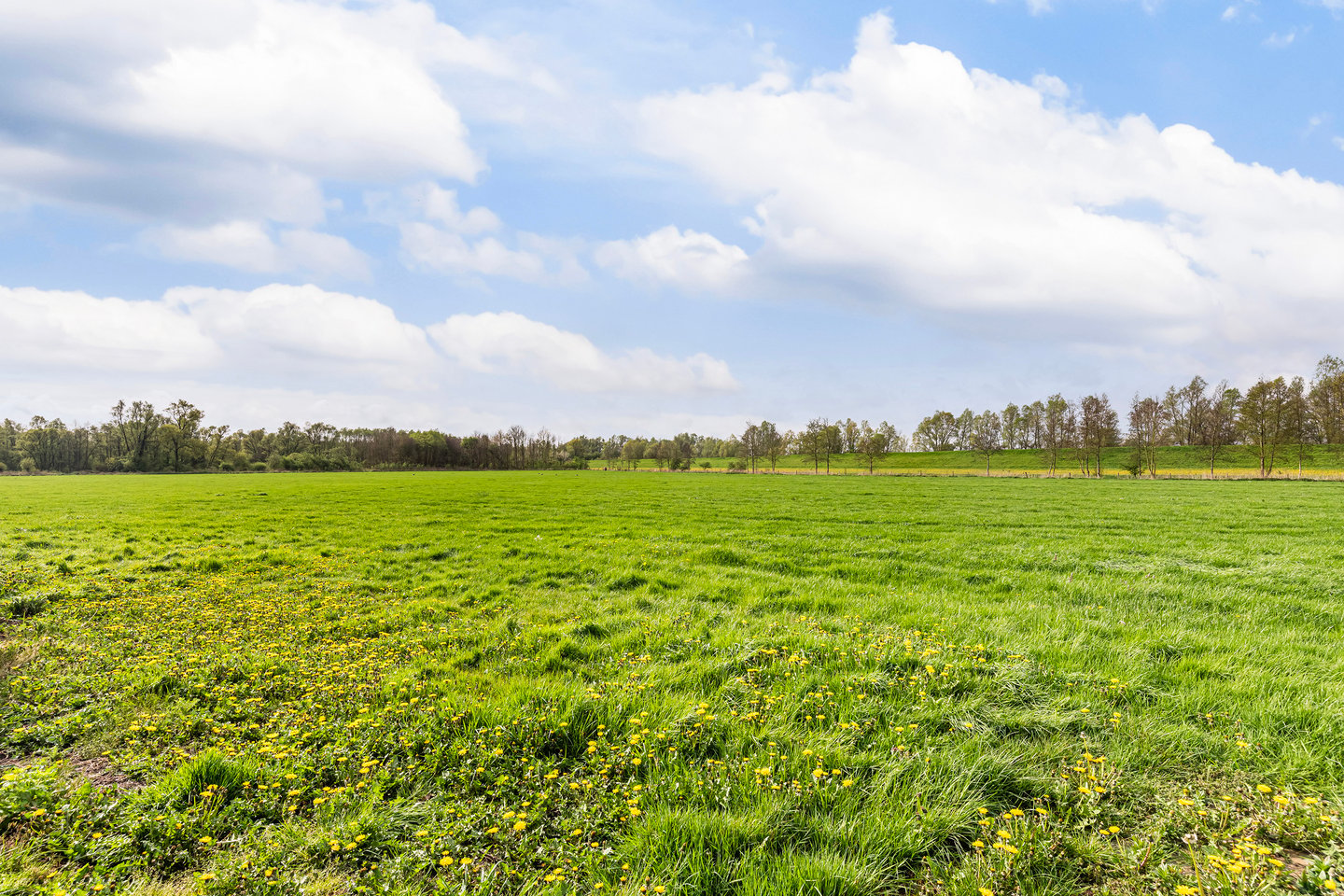 Bekijk foto 4 van Fabrieksweg