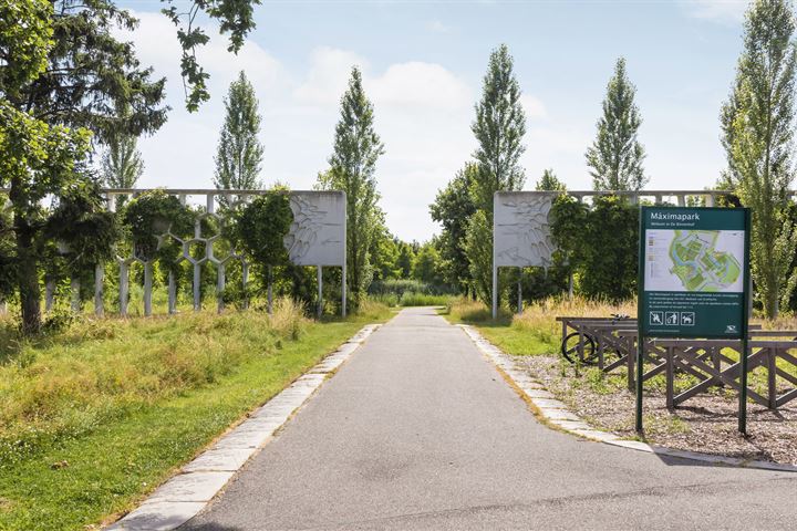 Bekijk foto 42 van Paardenbloemsingel 28