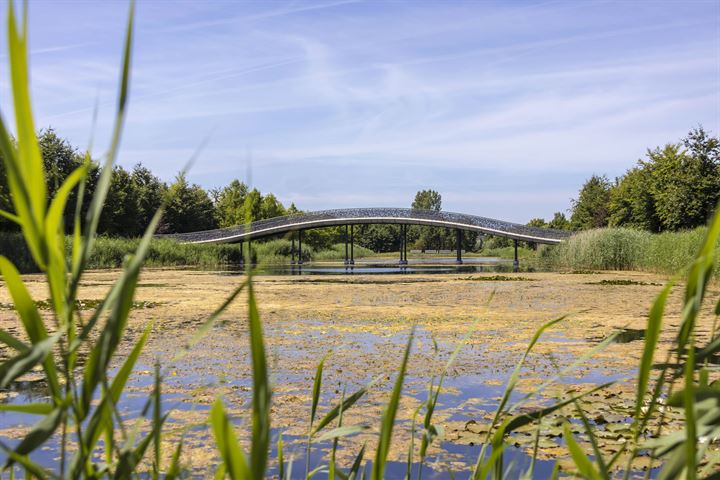 Bekijk foto 44 van Paardenbloemsingel 28