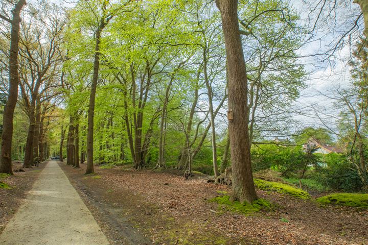 Bekijk foto 55 van Broeklaan 7