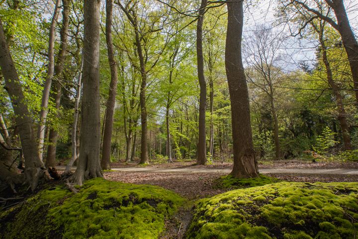 Bekijk foto 53 van Broeklaan 7