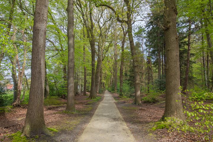 Bekijk foto 54 van Broeklaan 7