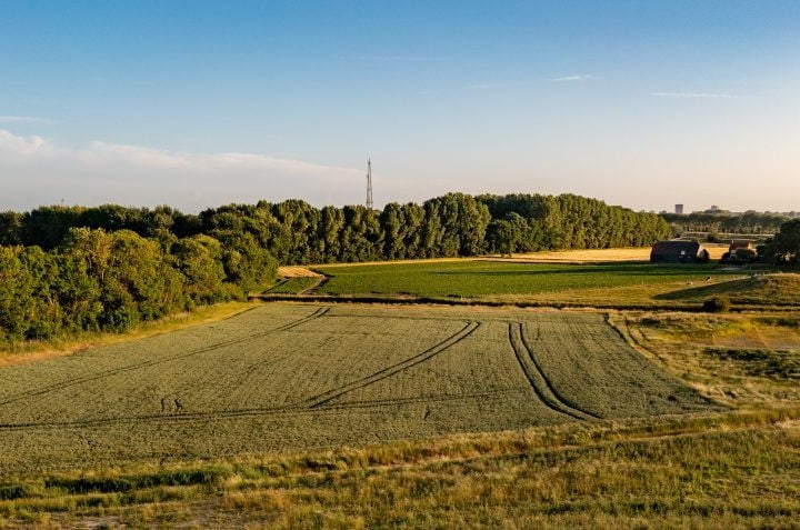 Bekijk foto 5 van Atalantalaan 39