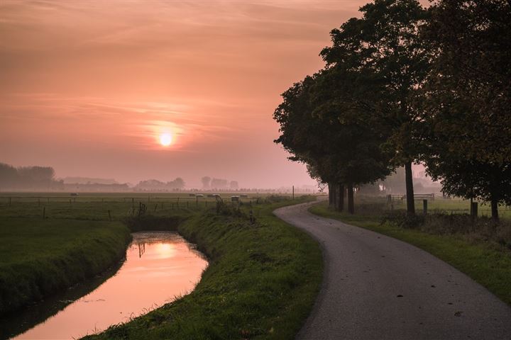 Bekijk foto 54 van Oude Maasdijk 3