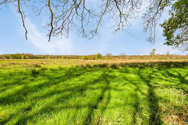 Bekijk foto 4 van Ten Darperweg 18