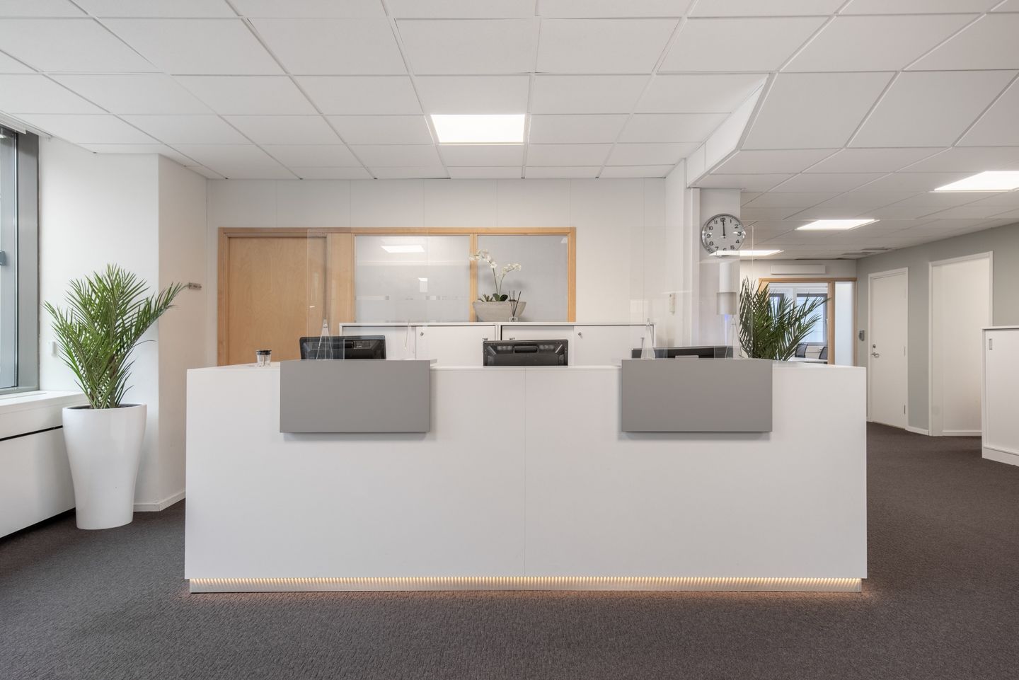 Bekijk foto 4 van Pettelaarpark 84