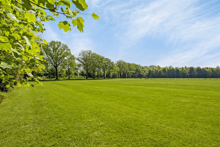 Bekijk foto 49 van Oude Weerseloseweg 12