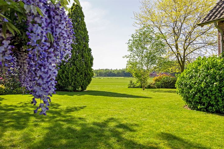 Bekijk foto 43 van Oude Weerseloseweg 12