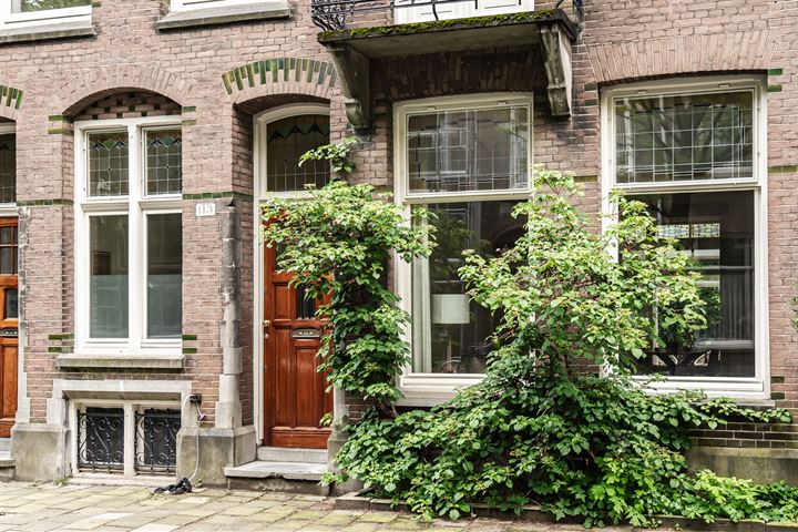 Bekijk foto 46 van Nicolaas Maesstraat 113-H