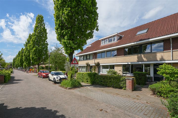 Bekijk foto 50 van Colmarstraat 64