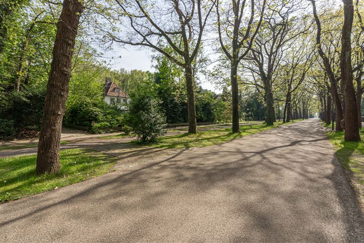 Bekijk foto 43 van Verlengde Slotlaan 70