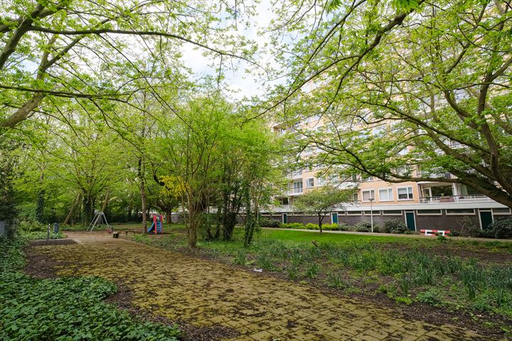 Bekijk foto 12 van Van Nijenrodeweg 268