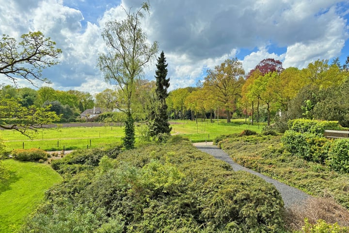 Bekijk foto 19 van Utrechtseweg 80-306