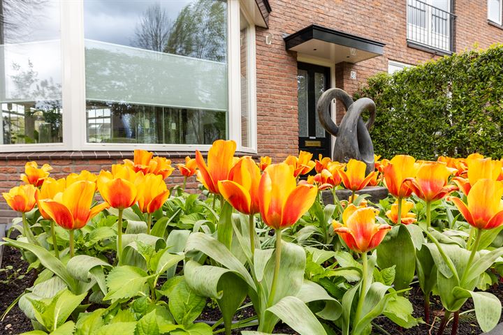 Bekijk foto 4 van Koninginneweg 20