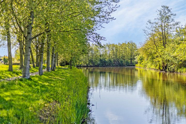 Bekijk foto 46 van Schout Dicbierlaan 11