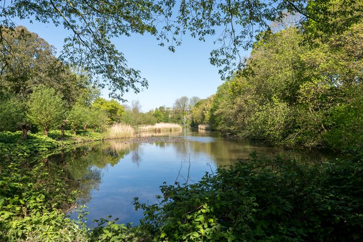 Bekijk foto 43 van Middenweg 123-H