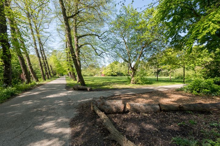 Bekijk foto 44 van Middenweg 123-H