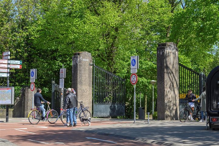 Bekijk foto 33 van Leiduinstraat 44-I