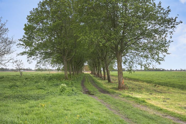 Bekijk foto 32 van Weidelint 58