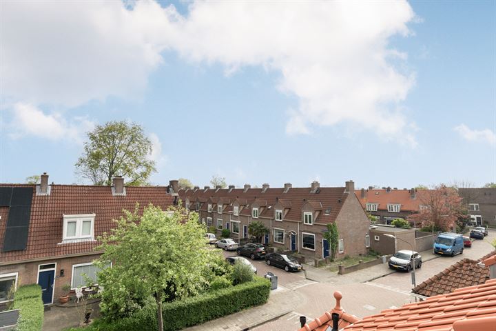 Bekijk foto 42 van Palamedesstraat 50