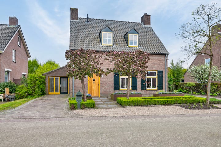 undefined main image